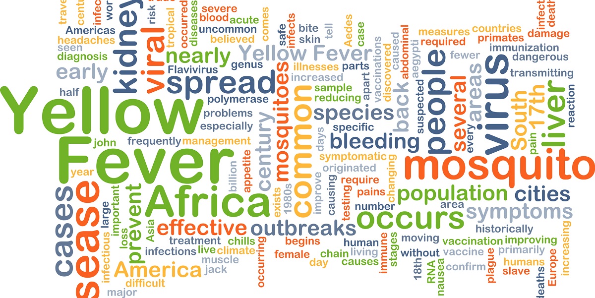 PDF] Kidney involvement in yellow fever: a review